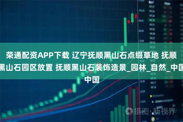 榮通配資APP下載 遼寧撫順黑山石點綴草地 撫順黑山石園區放置 撫順黑山石裝飾造景_園林_自然_中國