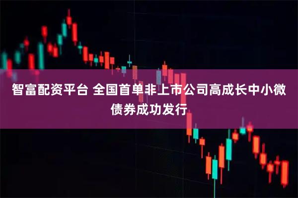 智富配資平臺 全國首單非上市公司高成長中小微債券成功發(fā)行