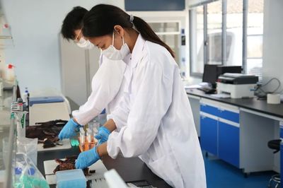 紹興三項目榮登首批‘浙里食安’示范市縣名單，互聯(lián)網(wǎng)數(shù)據(jù)服務(wù)賦能食品安全監(jiān)管